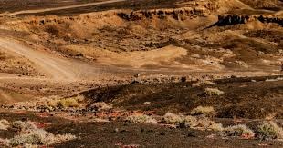 詹姆斯39+17+9林庭谦30+7+10 天津客场险胜宁波